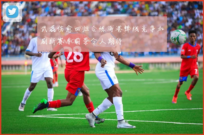 武磊伤愈回归合练海港锋线竞争加剧新赛季前景令人期待