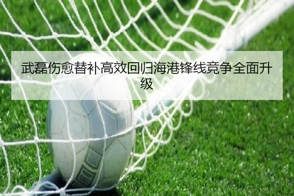 武磊伤愈替补高效回归海港锋线竞争全面升级（leyucom）